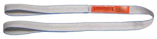Web Sling, Type 3, 9 ft L, 1 in W, Polyester, Silver, Lift-All, Mfr#: EE1801TFX9