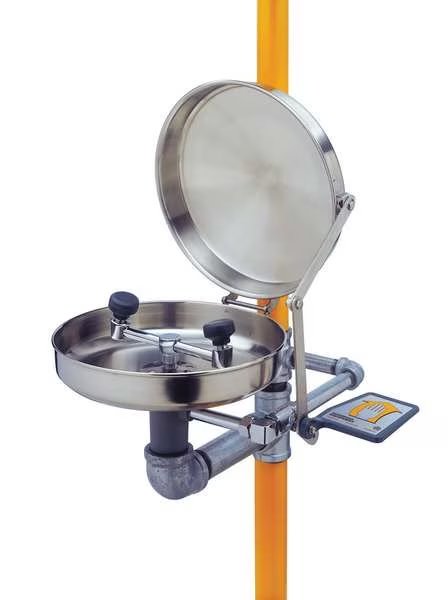 Drench Shower With Eyewash, 17 In. W, Guardian Equipment, Mfr#: G1902BC-SSH