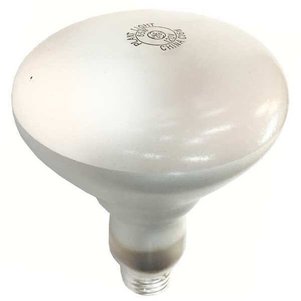 Heat Lamp, 65/75W, 120V, Cretors, Mfr#: 2403-TC
