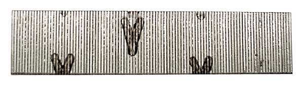 Collated Pin Nail, 5/8 in L, 23 ga, Galvanized, Headless Head, Straight, 2600 PK, Senco, Mfr#: A100629