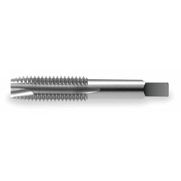 Spiral Point Tap Plug, 2 Flutes, Widia, Mfr#: 13242