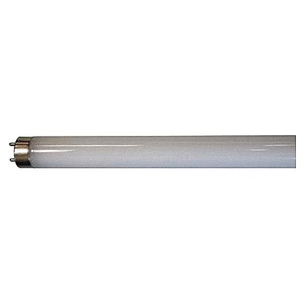 LED, 12 W, T8, Medium Bi-Pin (G13), Shat-R-Shield, Mfr#: 06656E