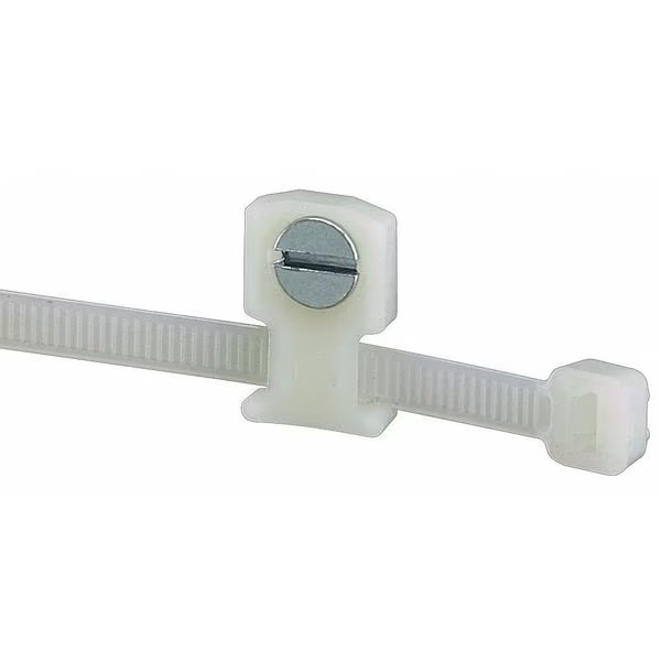 Cable Tie Mount, Screw Applied, PK100, Panduit, Mfr#: LPMS-S8-C