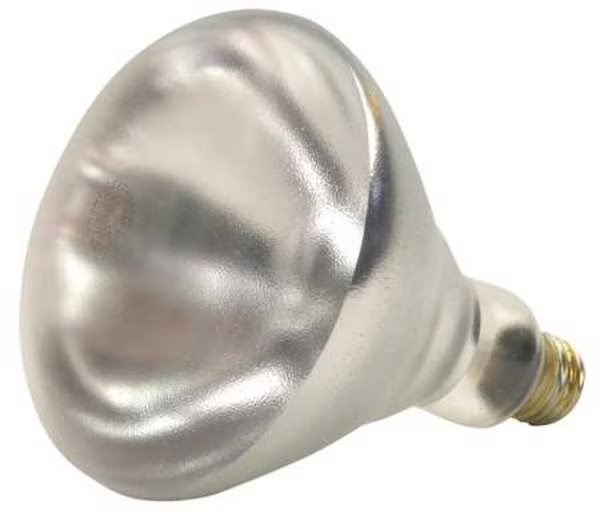 SHAT-R-SHIELD 250W, R40 Incandescent Light Bulb, Shat-R-Shield, Mfr#: 250BR40/1