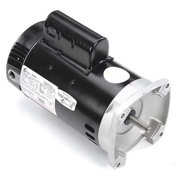 Pool Pump Motor, Capacitor-Start/Run, 3/4, 1/10 HP, 56Y Frame, 3,450/1,725 Nameplate RPM, Century, Mfr#: B2980